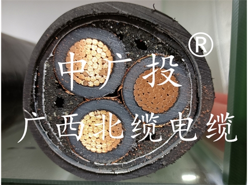 广西冰球突破官网电缆丨广西电缆厂丨广西电线电缆丨嘉峪关电缆厂家