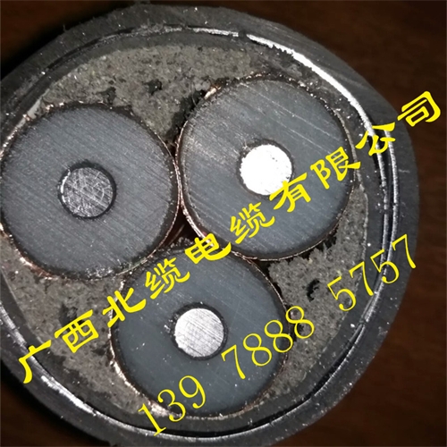 www.dxdl1688.com